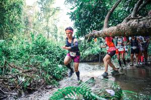 BIB: 
                            <button type="button" onclick="openModal(25460652)" class="btn btn-primary btn-sm float-right btn-popup" data-toggle="modal" data-target=".modal-high-quality">
                        <i class="fas fa-shopping-cart"></i> Add to Cart
                    </button>
                                            <button type="button" onclick="isThisMe(25460652, true)" class="btn btn-success btn-sm float-right btn-popup btn-isme hidden" data-toggle="tooltip" data-placement="bottom" title="นี่คือรูปของคุณใช่ไหม คลิกที่นี่เพื่อเอาเข้าอัลบั้ม">
                        <i class="fas fa-plus"></i> Add to album
                    </button>
                    <button type="button" onclick="isThisMe(25460652, false)" class="btn btn-warning btn-sm float-right btn-popup btn-isnotme hidden">
                        <i class="fas fa-ban"></i> Remove from album
                    </button>